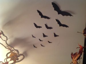 volo-pipistrelli